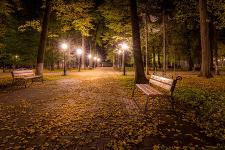 夜间秋夜公园 在人行道和长凳上放落叶子小路公园景观胡同正方形灯光路面照明金色叶子背景图片