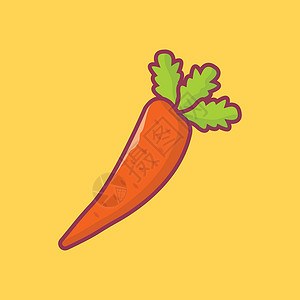 蔬菜植物饮食营养食物绿色花园收成插图橙子背景图片