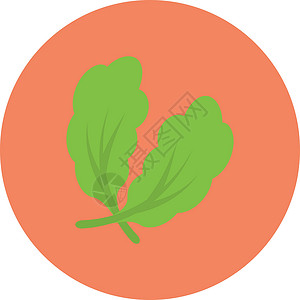 树叶叶子食物木头标识插图艺术季节绿色植物学植物背景图片