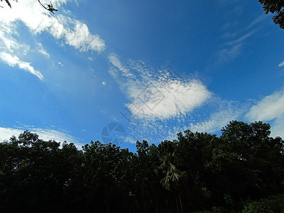 青蓝天空 绿色大自然美丽场地墙纸日光活力天空空气海浪种子蓝色公园图片