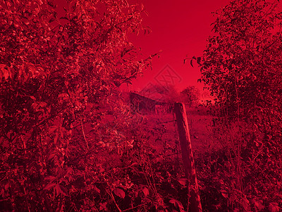 一个旧谷仓的红外线照片背景图片