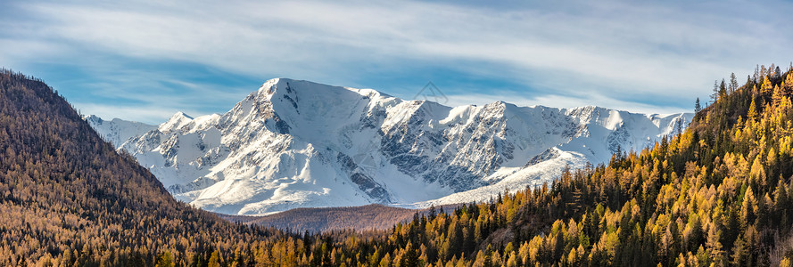 雪山山峰和北 Chuyskiy 山脊斜坡的风景全景鸟瞰图 前景中的金色树木 美丽的蓝色多云天空作为背景 阿尔泰山脉 西伯利亚 俄背景图片