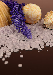 紫色贝壳盐水盐卫生肥皂矿物产品洗澡疗法呵护身体皮肤药品背景