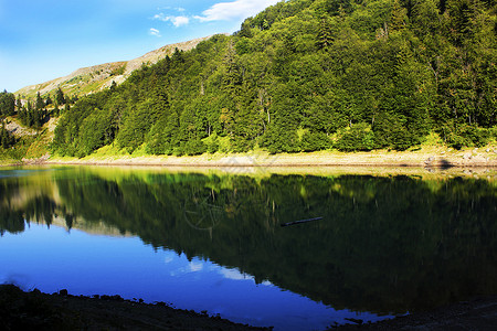 山湖悠翠格鲁吉亚的山湖 绿湖全景公园森林天空高山绿色野生动物风景反射海岸背景