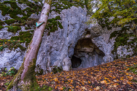 树洞穴农村国家公园高清图片