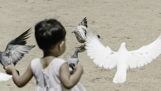 坐着玩鸟的女孩小小孩在公园里玩鸽子背景