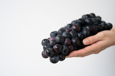 白色背景的黑紫色葡萄在白底皮上糖果叶子食物营养藤蔓水果收成背景图片