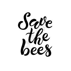 生态蜂蜜保存蜜蜂 在白色背景上孤立的书写手写字母设计图片