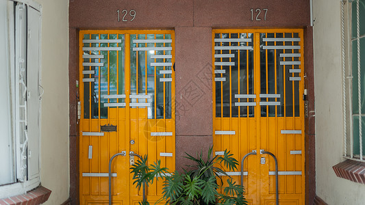 129号和127号 从墨西哥多彩市的公寓楼里房地产建筑街道窗户住房橙子公寓植物结构财产背景