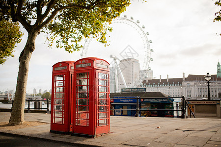 英国电话布斯在树下 以伦敦之眼为背景英语地标娱乐摊位旅游公用历史性民众结构旅行背景图片