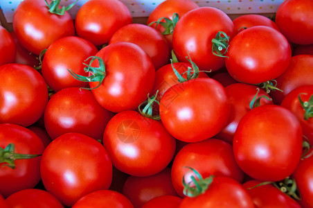 番茄蔬菜烹饪红色水果厨房背景图片