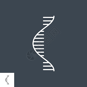 RNA 相关向量细线 ico医疗细绳基因螺旋核糖药品技术图标核酸生物背景图片