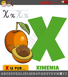水果750X6412像素带有卡通Ximenia水果的 X 工作表设计图片