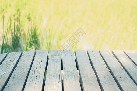 配有水稻田地背景的木板桌 用于调假变换种植园木头环境乡村产品植物桌子场地绿色剪辑背景图片