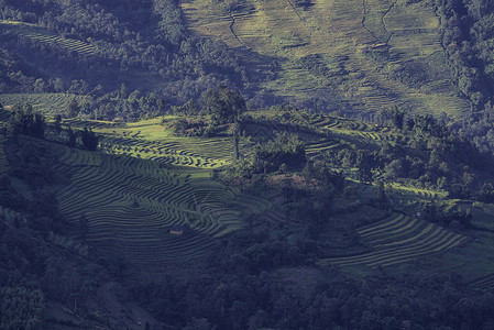 梯田式的越南Yty Sapa Laocai等地的田稻田准备收割种植园地球农业成长建筑学日落曲线旅行绿色栽培背景