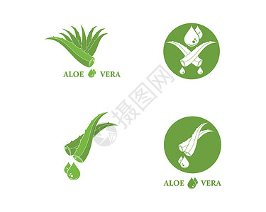 维拉纳芦荟标志图标矢量插图设计植物学药品医疗植物草本肉质凝胶叶子草本植物绿色插画