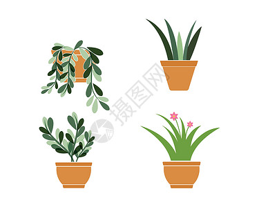 在锅插件矢量模板中的设备植物插图盆栽树叶风格生长海报房子叶子绿色背景图片