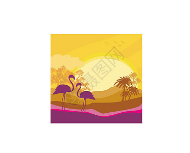 飞行中火烈鸟野生自然景观中的Flaminggo夫妇树木飞行太阳国家动物群艺术环境海岸日落天空插画
