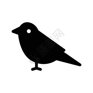 麻雀鸽子羽毛叶子标识服务宠物艺术翅膀动物插图背景图片