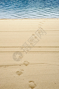 从水中引出的海滩上的足迹背景图片