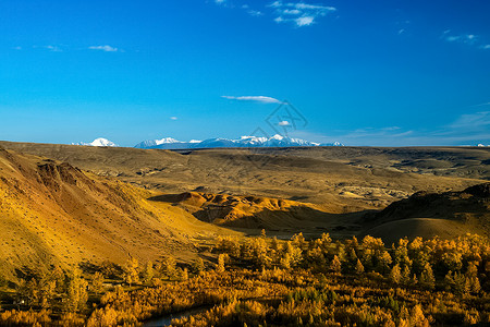 奎师那河阿尔泰山和两山之间的峡谷的自然景观 以及那座山的景象活动岩石树木山沟针叶山腰风景生态晴天石头背景