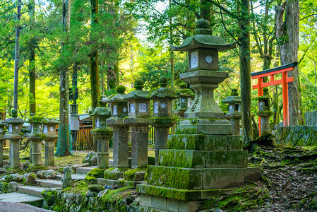 石头公园奈拉的朝中泰沙神社日光灯遗产宗教旅游佛教徒寺庙大社苔藓旅行建筑学精神背景