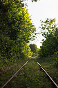 东方快车有自然和树的火车站 与铁路 蓝天和植被的工业风景在夏天 傍晚的铁路枢纽 运输铁路机车踪迹人行道自然景观植物森林火车平台货物物流背景
