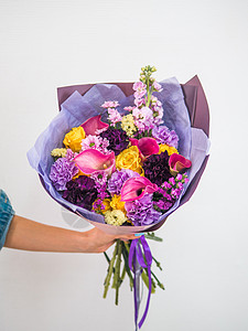 三支紫色马蹄莲美丽的丽拉花束在女性手中背景