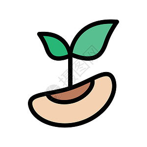 发电厂咖啡生长幼苗植物插图环境核桃叶子杏仁杂货店背景图片