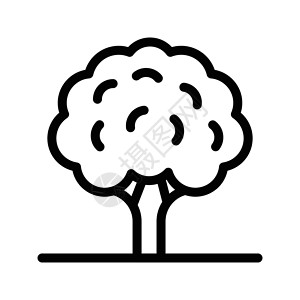公园黑色木头季节网络生态收藏花园白色橡木插图背景图片