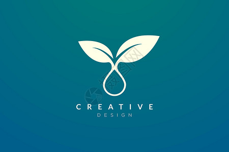 叶子滴水叶子和水滴的设计相结合 现代简约和优雅的矢量插图 适用于图案 标签 品牌 图标或徽标插画