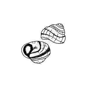 法国蜗牛矢量手绘制了法国菜食蜗牛 Desig营养贝类螺旋贝壳异国食物海鲜盘子情调卡通片插画