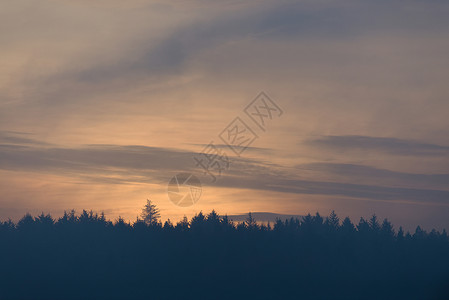 特谢林更多天空复制空间 在森林后面日落后黄昏的面粉颜色背景