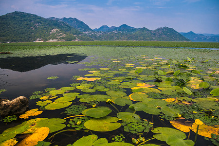 黑山的美景照片护照游记旅行博主世界旅游明信片背景图片