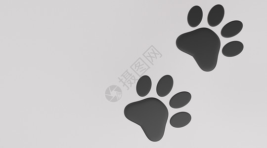 白色背景上的黑爪印图 狗或猫爪印图 Anima背景图片