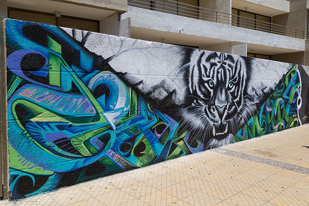 智利圣地亚哥贝拉维斯塔街头的涂鸦Praffiti建筑写作艺术旅行首都街道建筑学场景壁画绘画背景图片