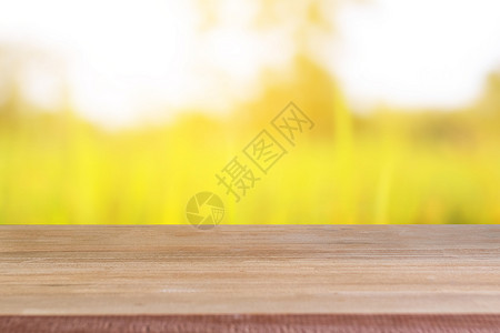 木空白表有稻田背景木头剪辑太阳桌子公园花园桌面产品甲板架子背景图片