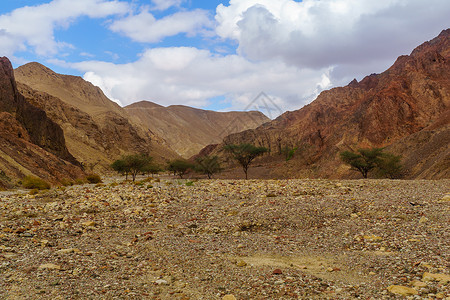 沙漠谷 艾拉特山公园内盖夫旅行人行道石头侵蚀地标岩石小路沙漠背景