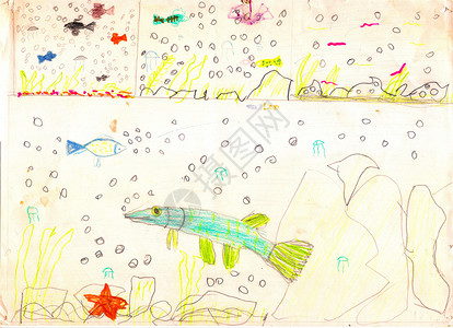 儿童画鱼素材水下生活的三种观点 包括五颜六色的鱼 海星石和气泡 儿童画背景