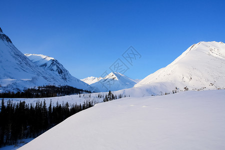 通卡冬季的白卡尔山雪 下雪的森林覆盖了山岳蓝色旅行山峰木头场景松树天空背景城堡天气背景