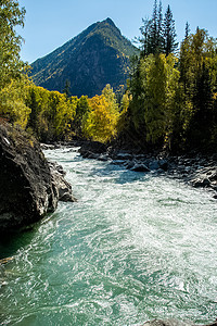 山区河流流过岩石 河流是阿尔泰河 大自然是阿尔泰蓝天流动山谷苔藓山脉旅游环境冒险桌面峡谷背景图片