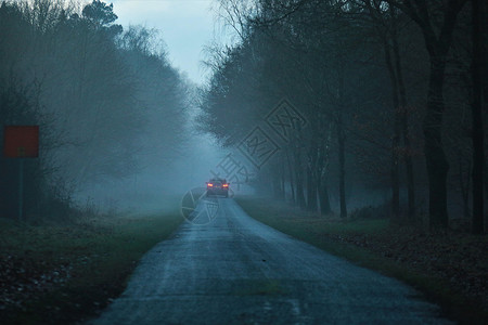 雾中风车傍晚在雾中下雨之后的灰尘路背光树木森林农村灰色黑色街道绿色天空季节背景