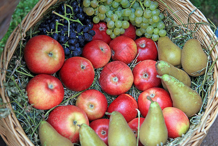 用苹果 梨子和葡萄在稻草上收获篮子高清图片