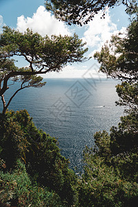 地中海钻石公司图片