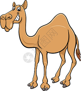卡通单峰骆驼骆驼漫画动物特征背景图片