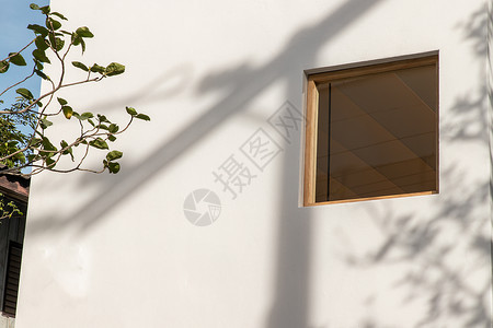 玻璃窗上反射的窗屋和白墙背景上的树木窗格镜框镜子房子建筑办公室木头窗户框架玻璃背景图片