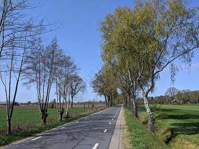 春天在Zelhem周围的公路高清图片
