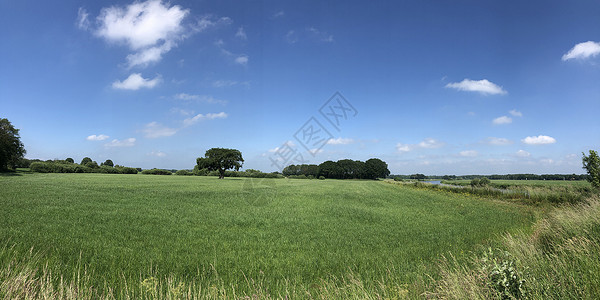 从Vecht河周围草原的全景绿色高清图片
