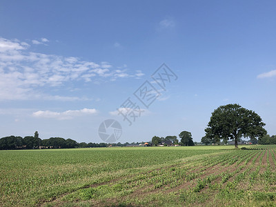 哈登堡周围的农田自然天空背景图片