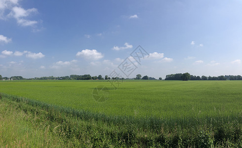 格拉姆斯贝根周围的农场绿色全景天空高清图片